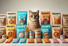 بستنی برای حیوان خانگی