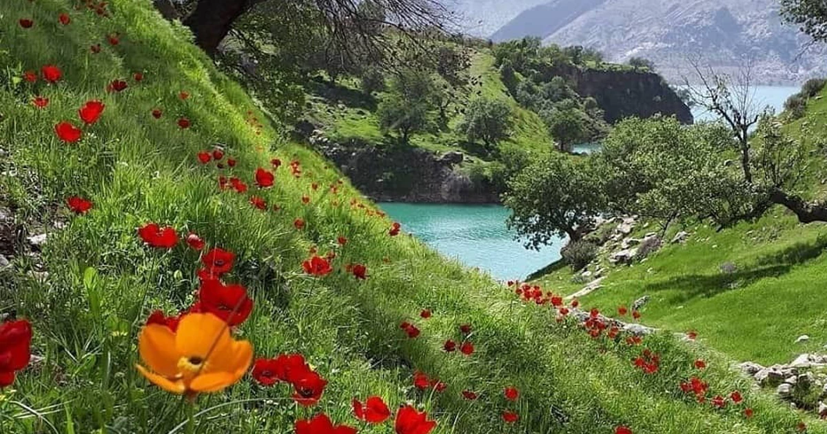 حیات وحش غنی