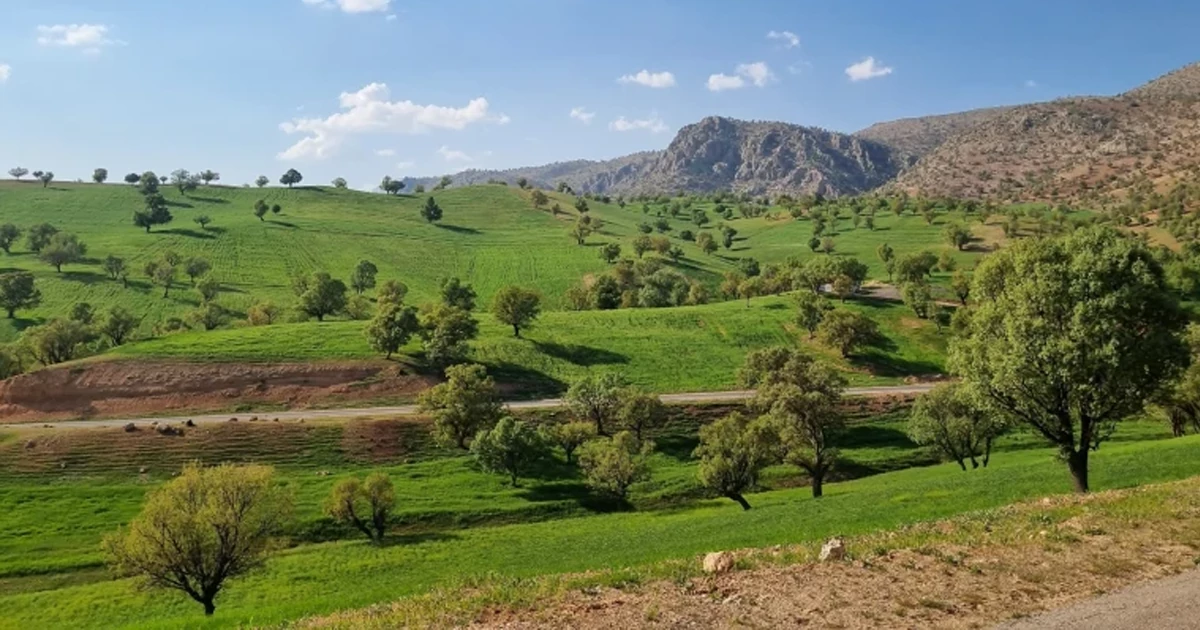 سرزمینی با حال و هوای انیمیشن