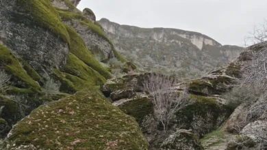 مخمل کوه لرستان