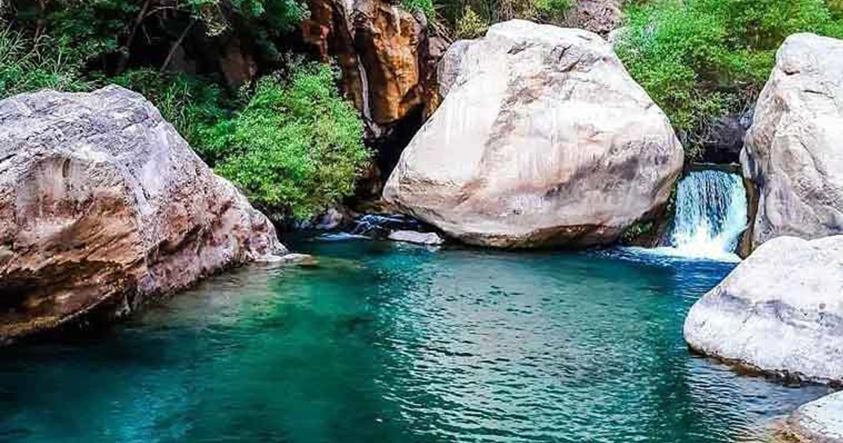 چشماندازهای طبیعی و حیات وحش منطقه