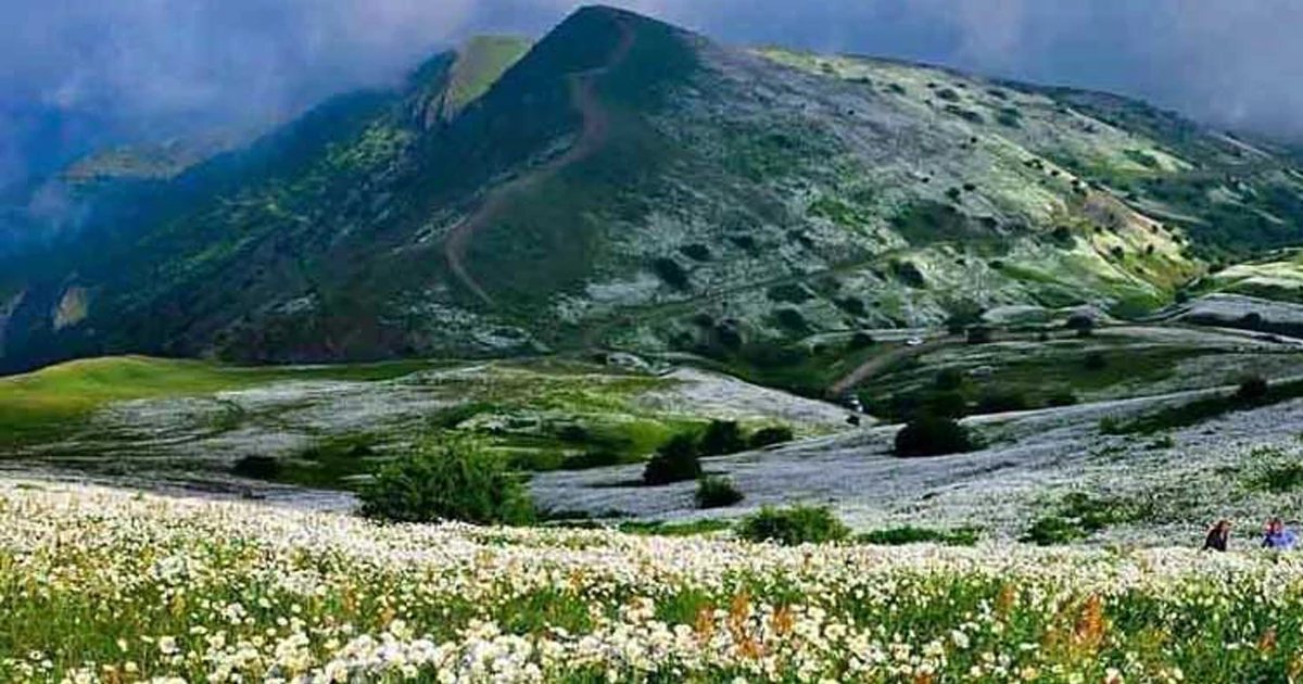 اقلیم جنگل فندقلو؛ ترکیب کوهستان، مه و آفتاب