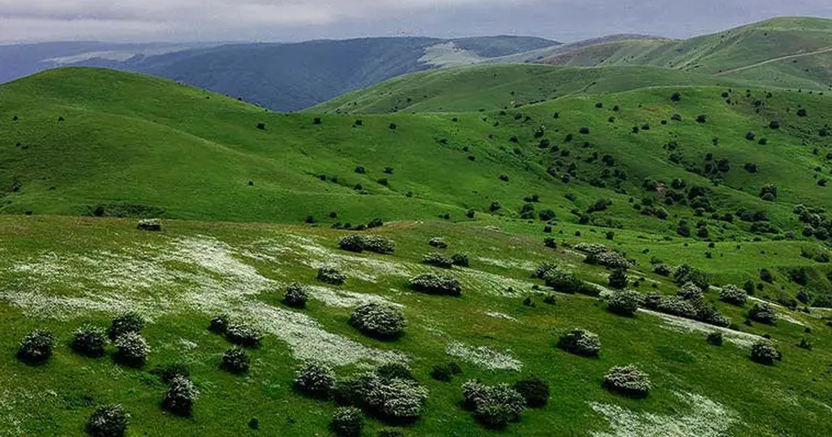 فندقلو؛ بخشی از جنگلهای باستانی هیرکانی