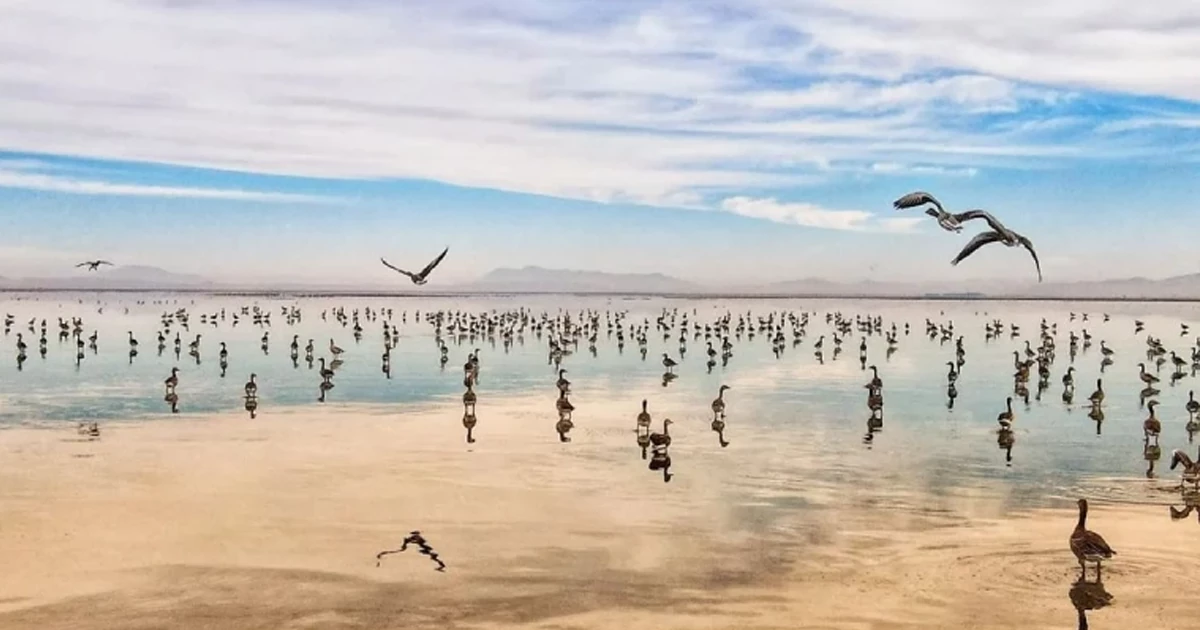 مسیر دسترسی به تالاب میقان