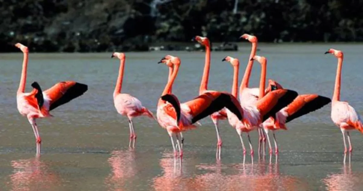 بهترین زمان برای بازدید