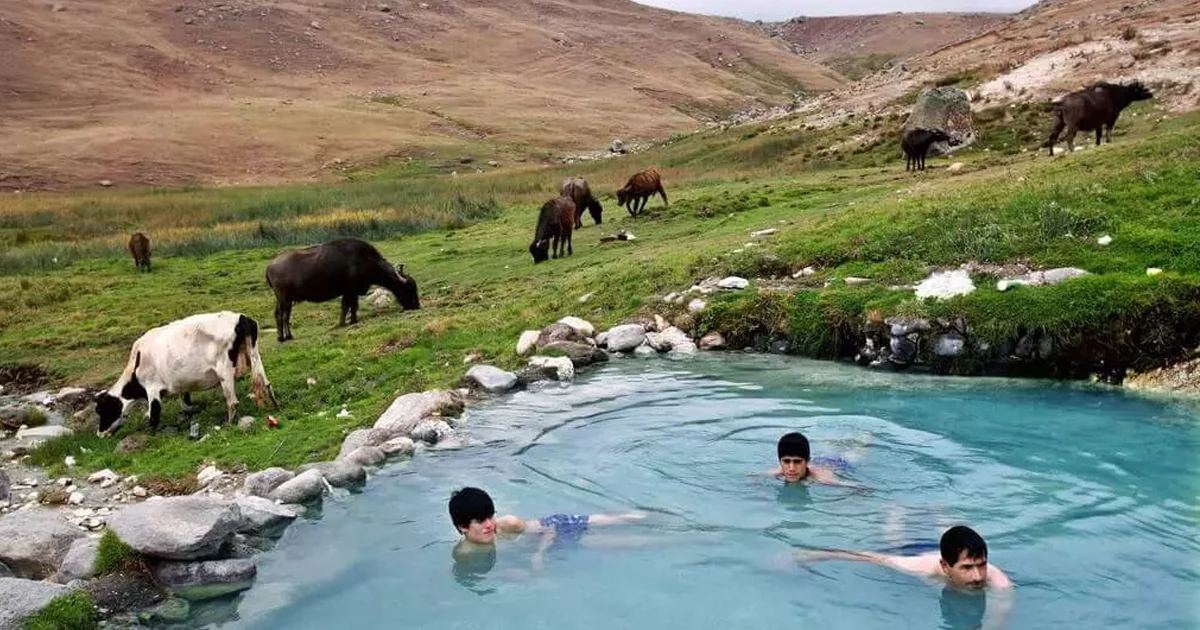 ترکیب چشم‌نواز طبیعت با خواص درمانی