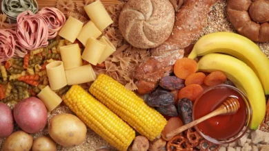 اگر تو طبیعت و کوه کم میاری، این تغذیهها مال تو!