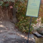 روستای خشوئیه، پیر چنار