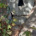 پیر چنار خشوئیه