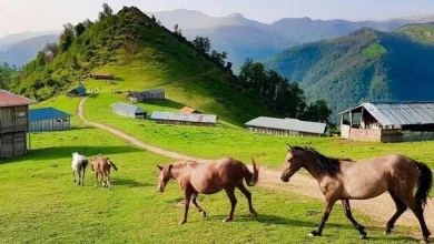10 مقصد ایران برای تجربه زندگی محلی