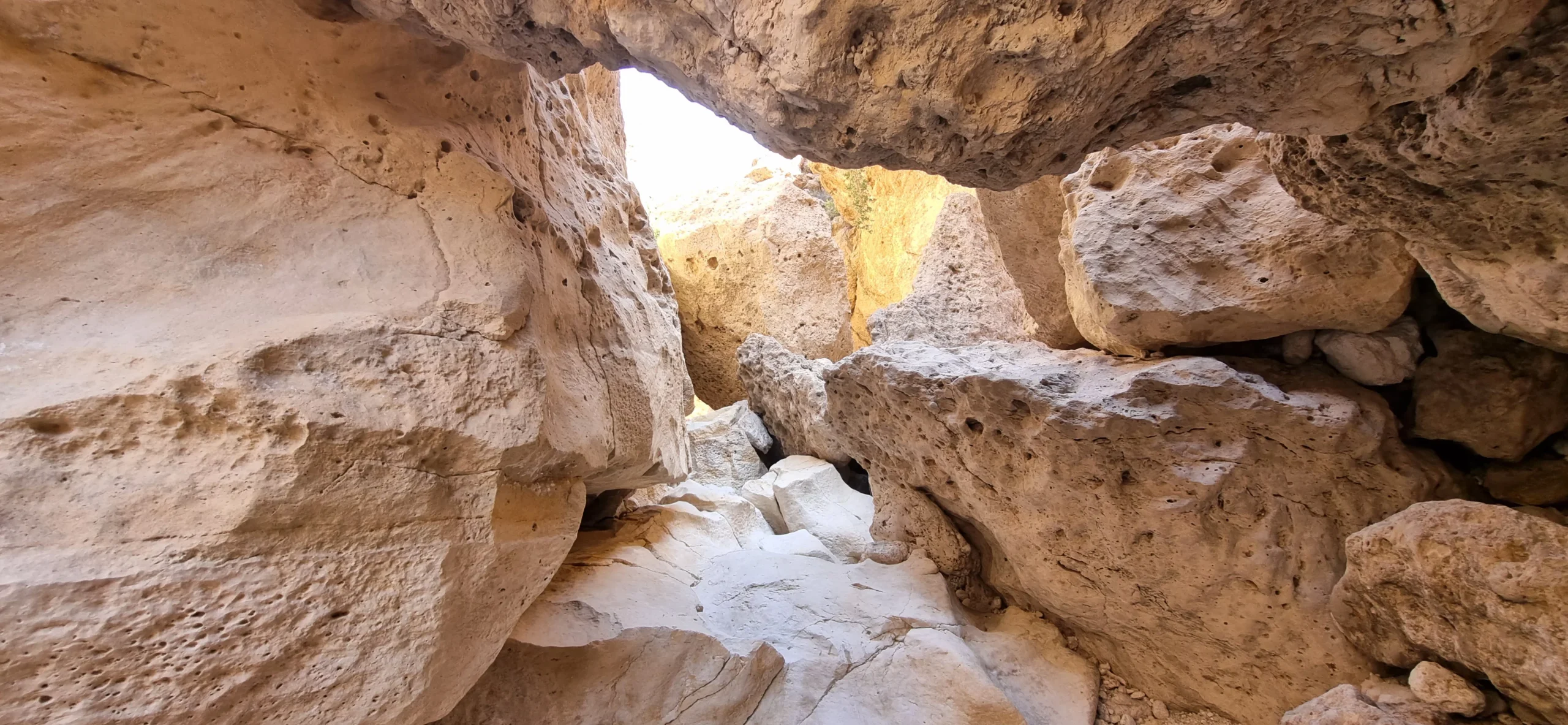 پوشش گیاهی، حیات وحش و منابع آب شوتاریکو