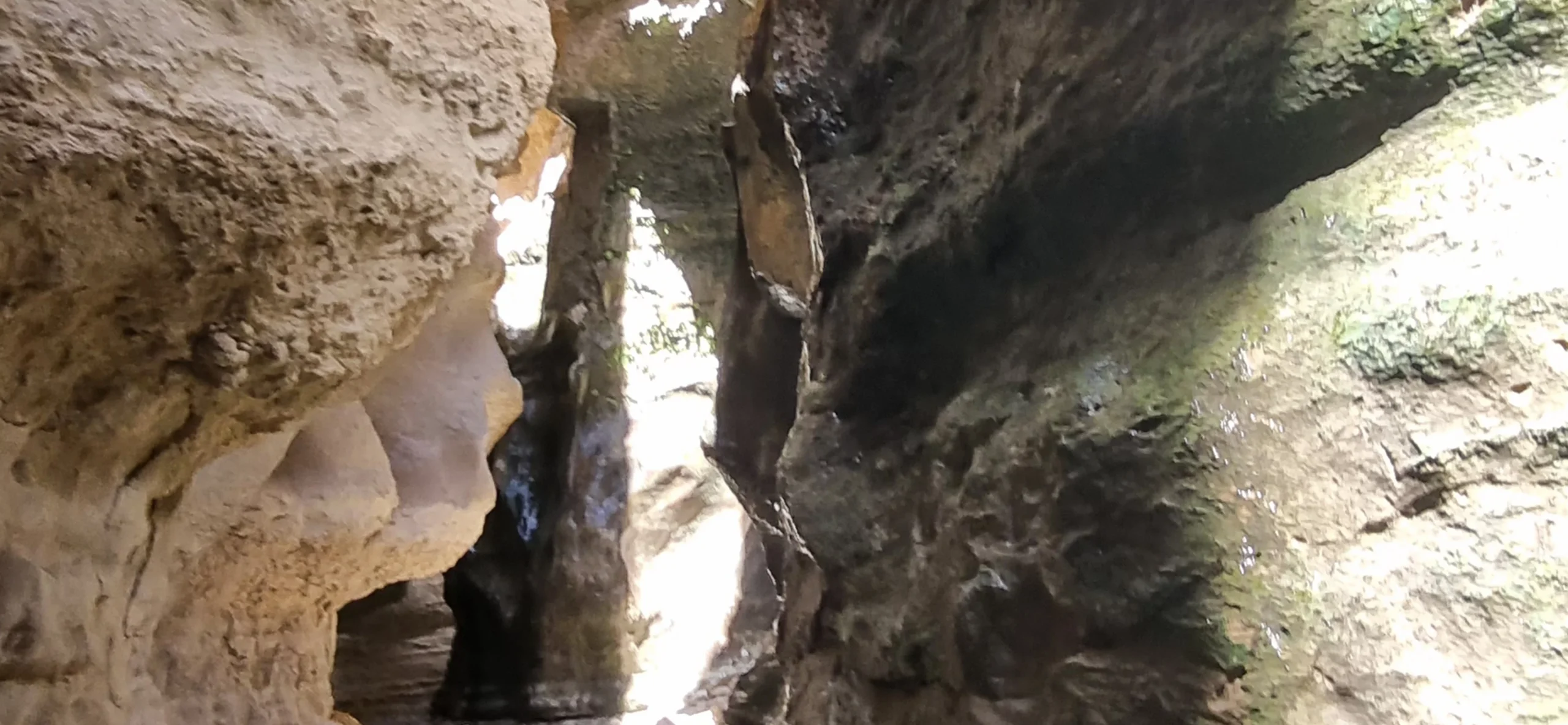 پوشش گیاهی، حیات وحش و منابع آب شوتاریکو