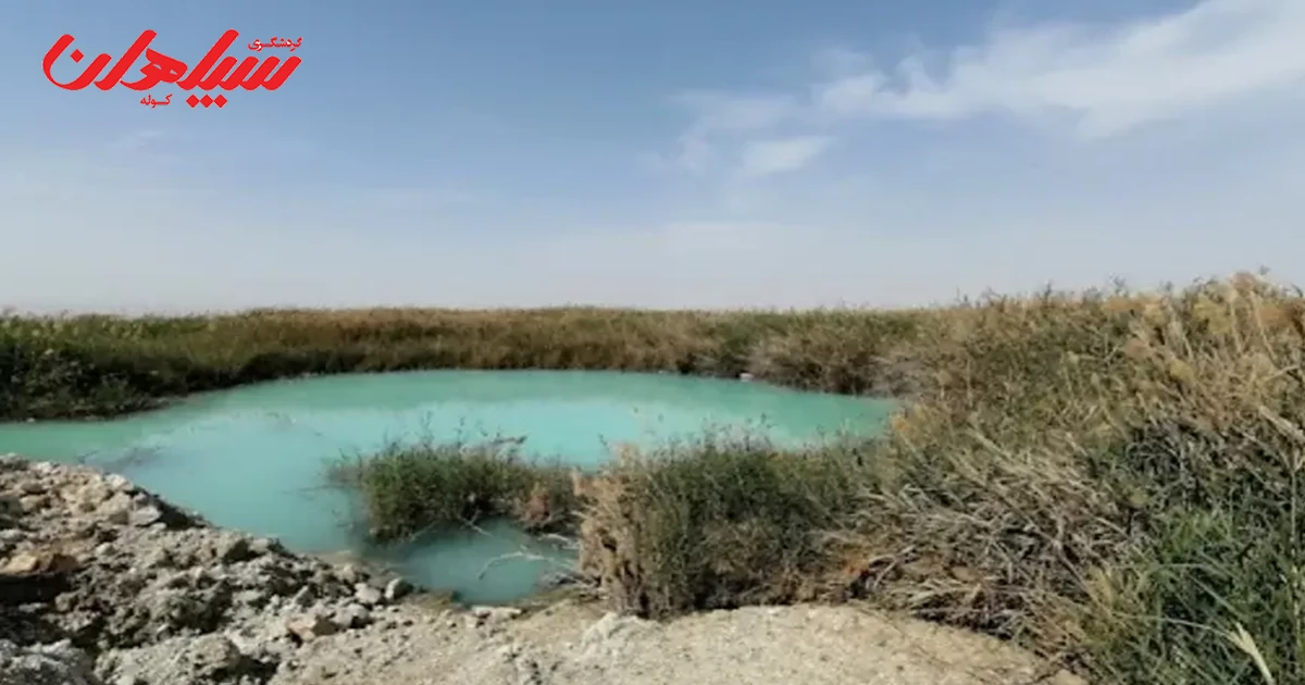 بوشهر: چشمه آب گرم