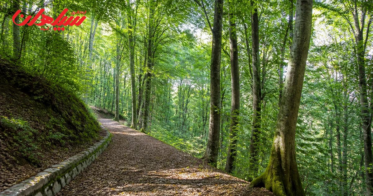 بهترین زمان سفر به گرگان