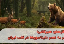 جنگلهای هیرکانی؛ سفر به عصر دایناسورها در قلب ایران