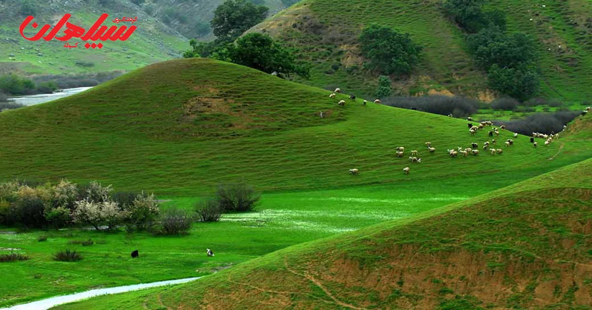 کوهرنگ مقصد سفر تابستانی
