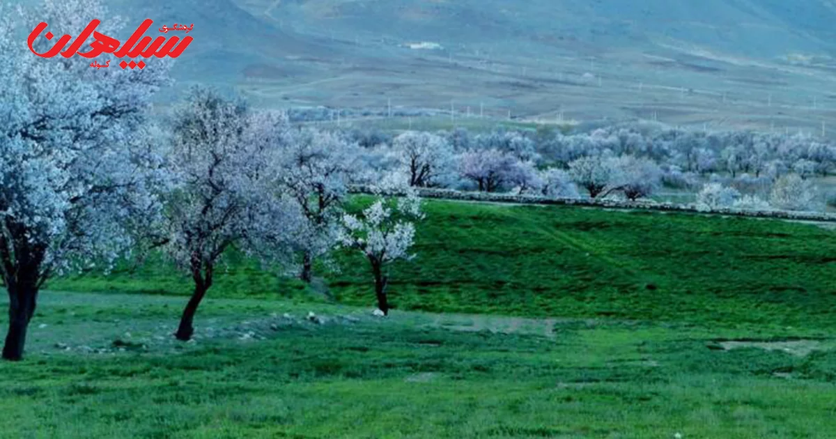 بهار شهر سامان