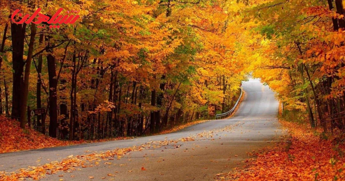 جنگل های پاییزی ایران