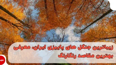 زیباترین جنگل های پاییزی ایران، معرفی بهترین مقاصد رنگارنگ