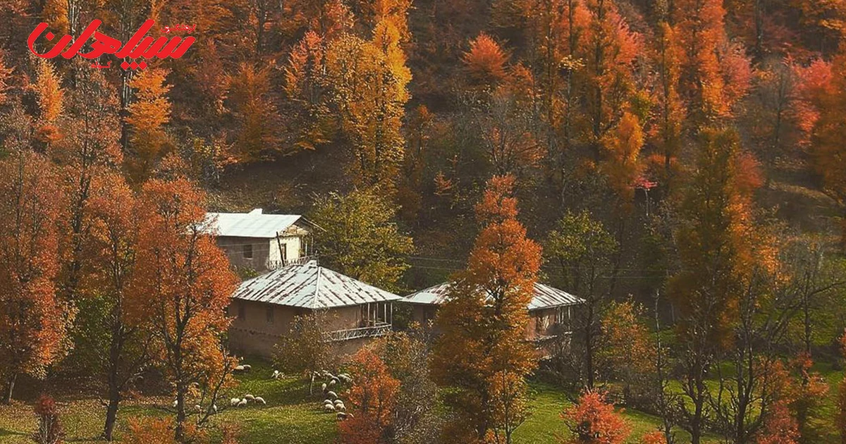 زیباترین جنگل های پاییزی ایران
