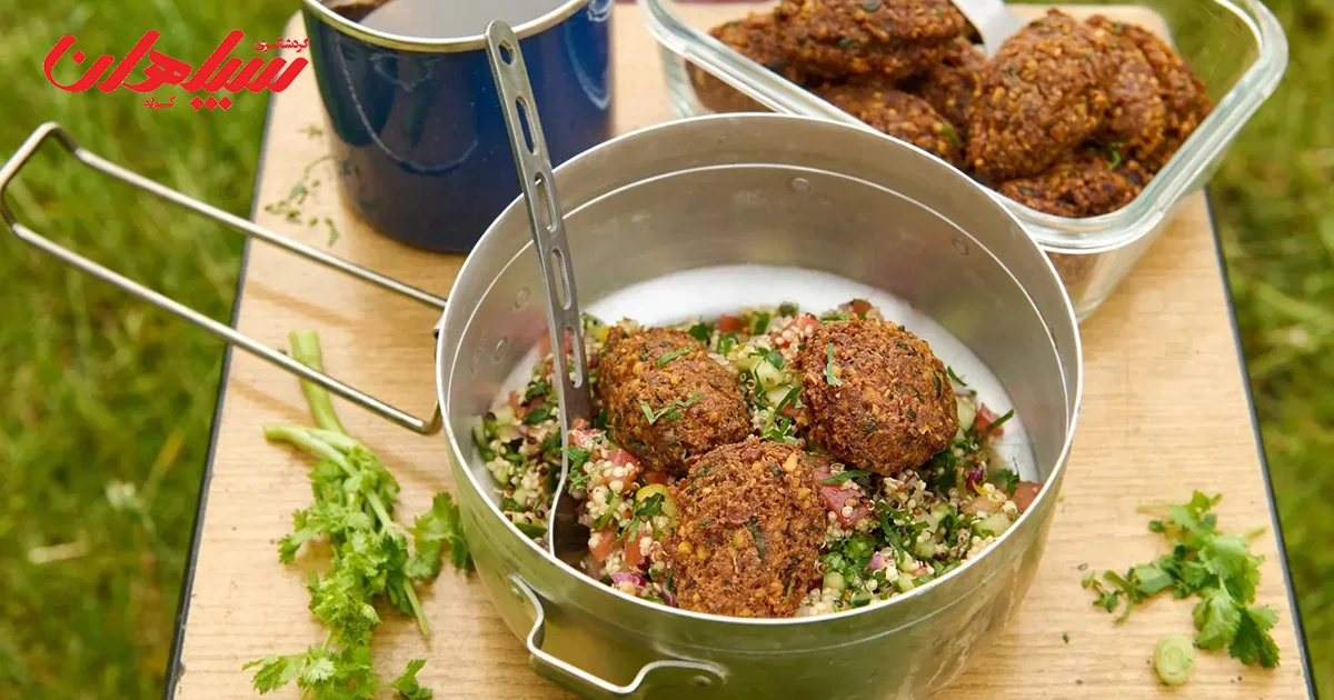 تهیه غذا در سفر