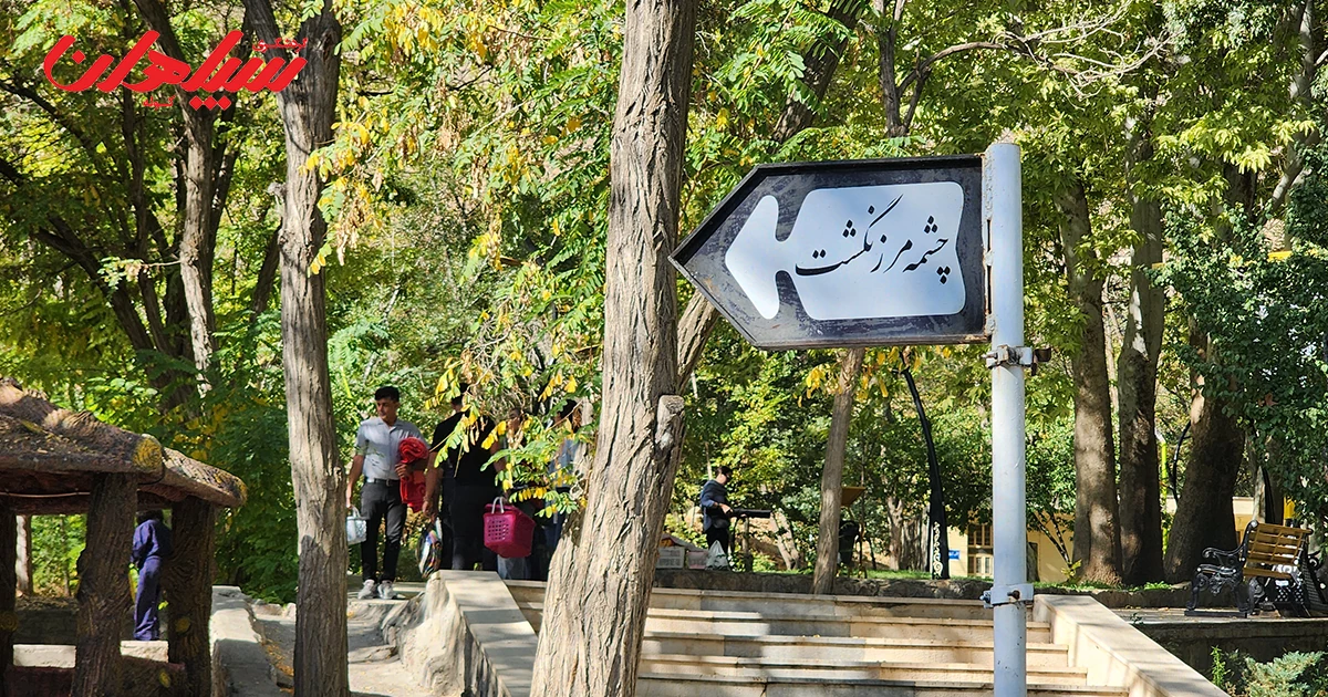 چرا چشمه مرزنگشت خوانسار اهمیت دارد؟
